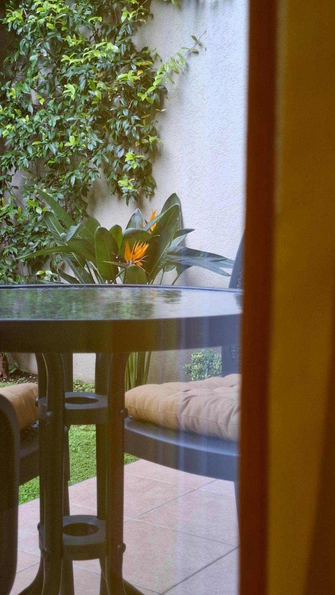 Apartman Stijepcic Herceg Novi Ngoại thất bức ảnh